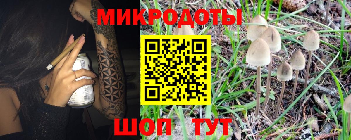 Галлюциногенные грибы мицелий  Вход с VPN  Галлюциногенные грибы ЛСД  Камень-на-Оби 