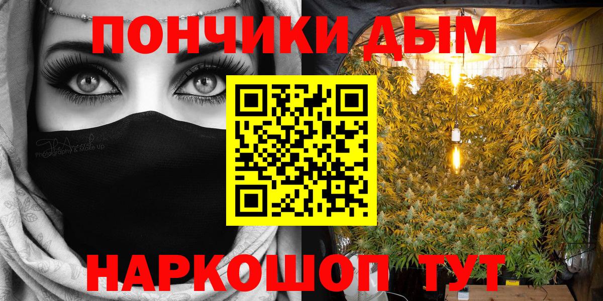 Бошки Шишки сатива  Бошки Шишки ГИДРОПОН  Канабис VHQ  Вход с VPN  Камень-на-Оби  Шишки марихуана ГИДРОПОН 
