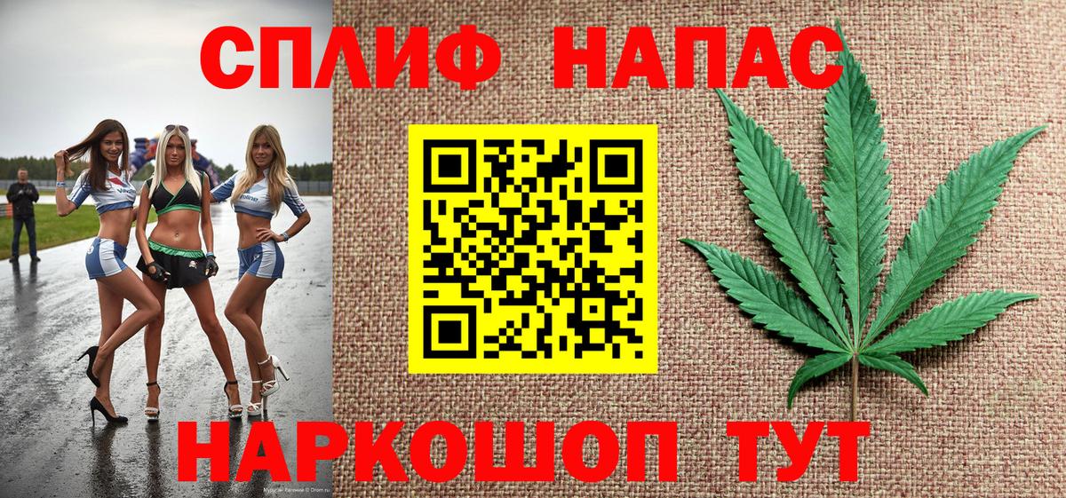 Конопля гибрид Камень-на-Оби